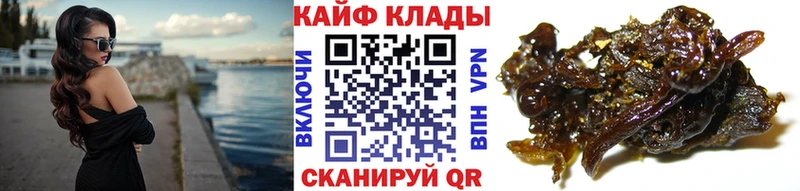 Наркошоп купить Cocaine  Меф мяу мяу  ГАШИШ  Альфа ПВП  Марихуана  Выборг