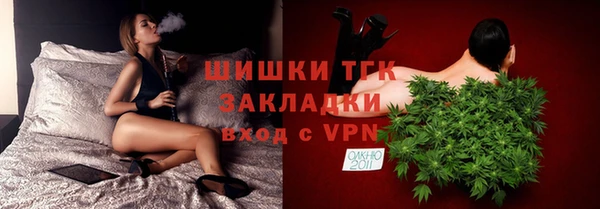 индика Арсеньев