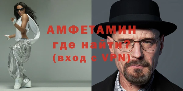 индика Арсеньев