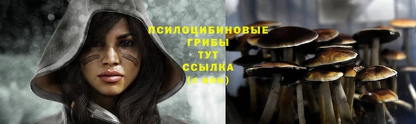 индика Арсеньев