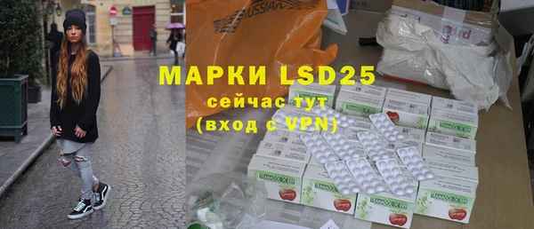 индика Арсеньев