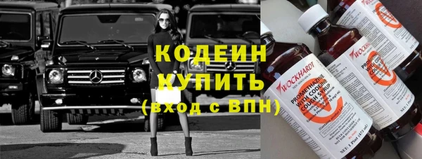 индика Арсеньев