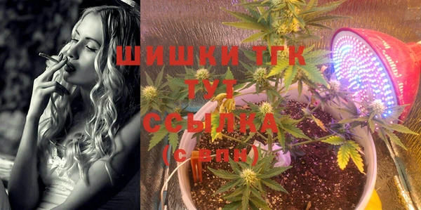 индика Арсеньев