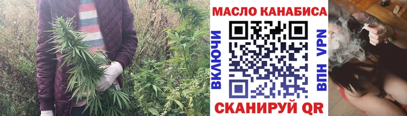ТГК концентрат  Купить  Выборг 